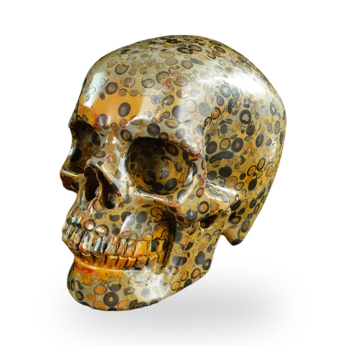 Black Leopard Skin Jasper crystal skull 4.5" SKH45LK05 photo 6