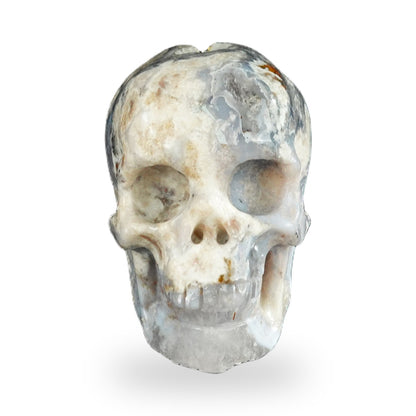 Blue Flower Agate crystal skull 2.2" SKH20BF02 photo 1