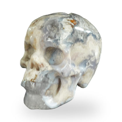 Blue Flower Agate crystal skull 2.2" SKH20BF02 photo 8