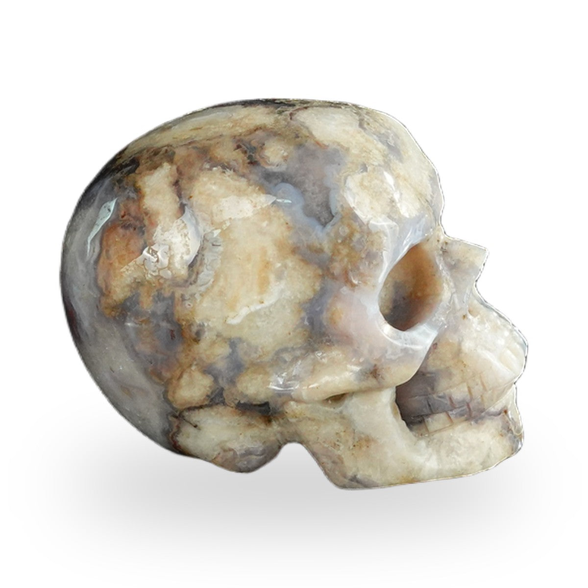 Blue Flower Agate crystal skull 2.2" SKH20BF05 photo 4