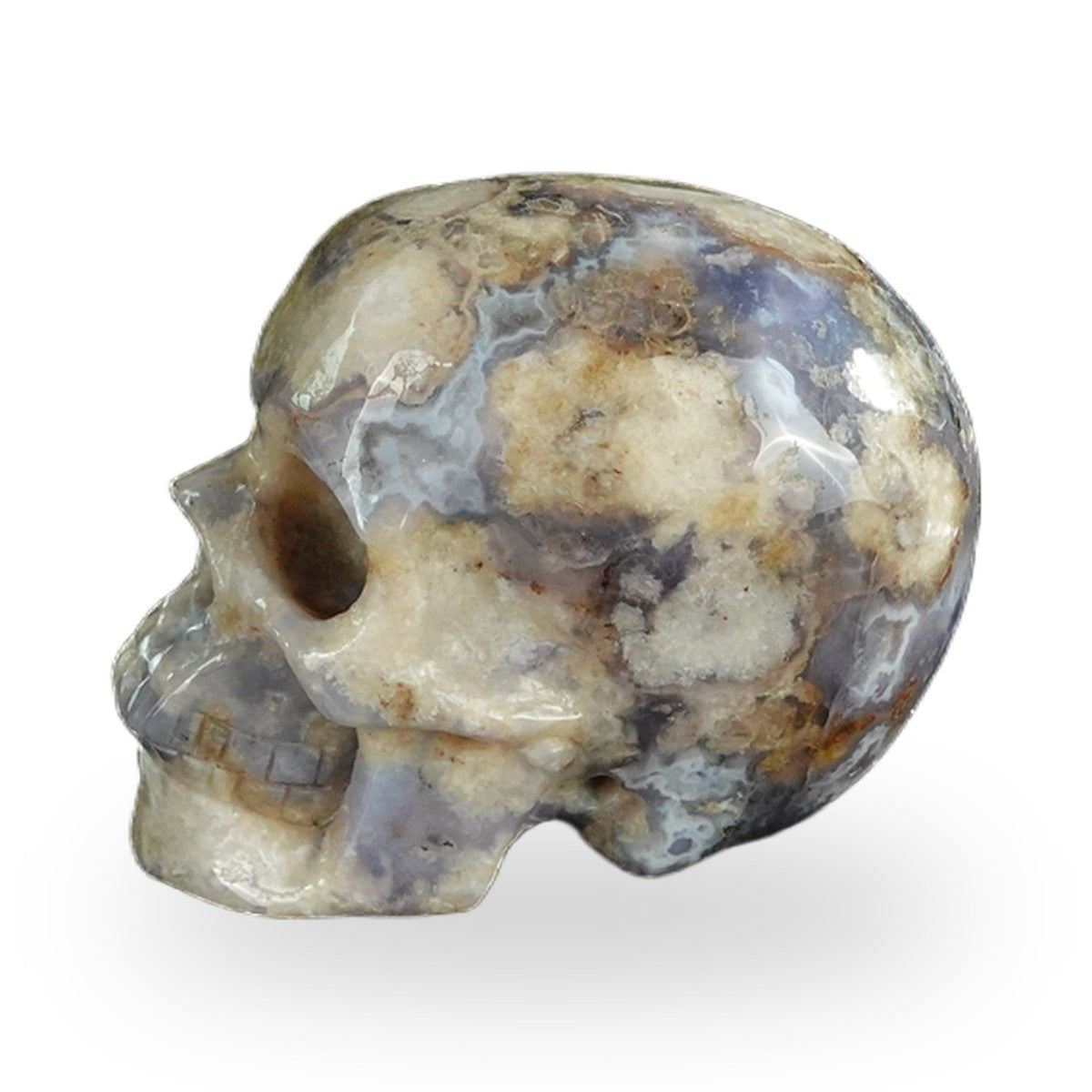 Blue Flower Agate crystal skull 2.2" SKH20BF05 photo 6