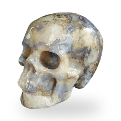 Blue Flower Agate crystal skull 2.2" SKH20BF05 photo 7
