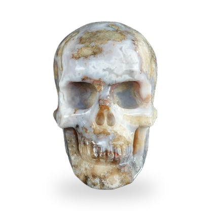 Blue Flower Agate crystal skull 2.2" SKH20BF06 photo 1