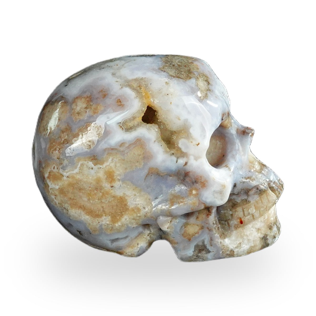 Blue Flower Agate crystal skull 2.2" SKH20BF06 photo 5