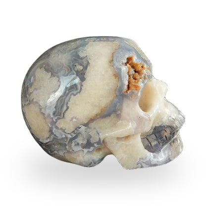 Blue Flower Agate crystal skull 2.2" SKH20BF07 photo 5