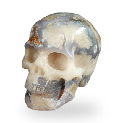 Blue Flower Agate crystal skull 2.2" SKH20BF07 photo 8