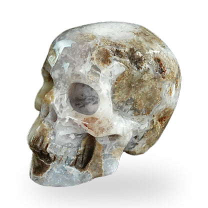Blue Flower Agate crystal skull 2.2" SKH20BF08 photo 7