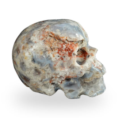 Blue Flower Agate crystal skull 2.2" SKH20BF11 photo 5