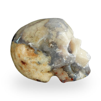 Blue Flower Agate crystal skull 2.2" SKH20BF13 photo 4