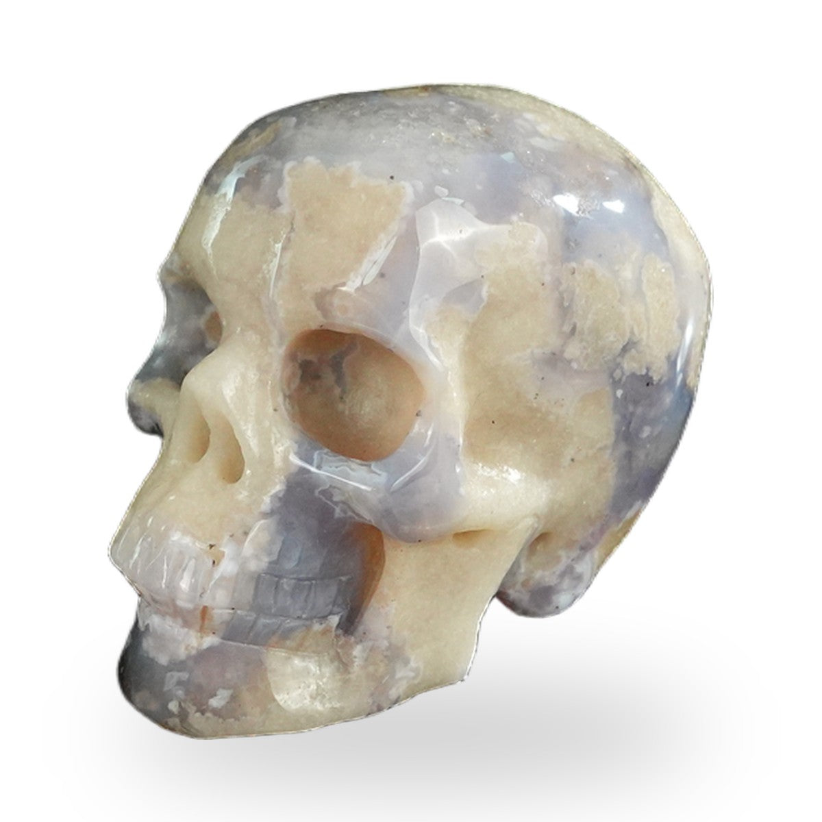 Blue Flower Agate crystal skull 2.2" SKH20BF13 photo 7
