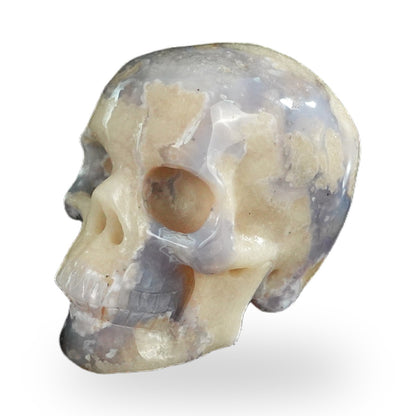 Blue Flower Agate crystal skull 2.2" SKH20BF13 photo 7