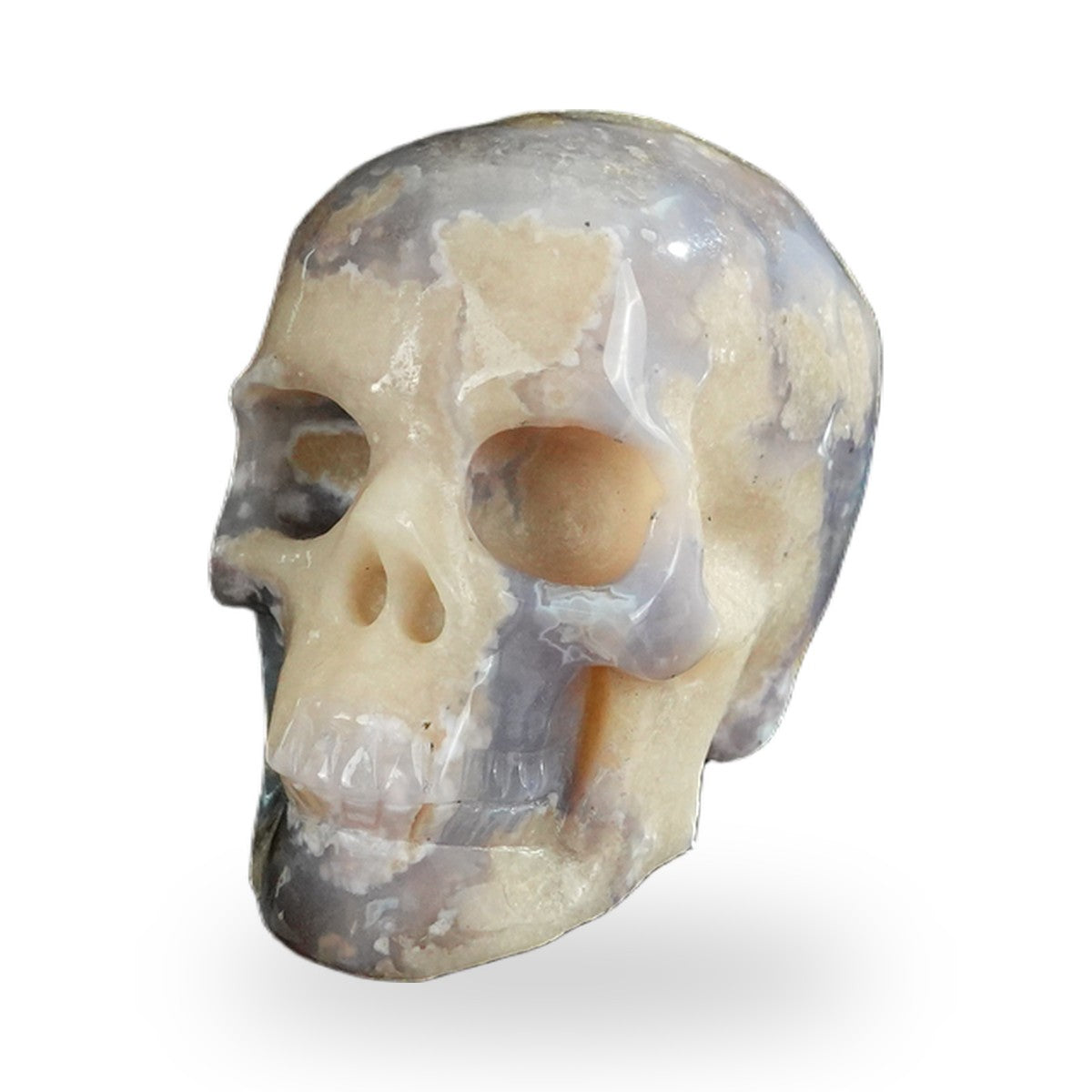 Blue Flower Agate crystal skull 2.2" SKH20BF13 photo 8