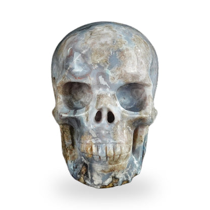 Blue Flower Agate crystal skull 2.2" SKH20BF15 photo 1