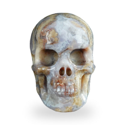 Blue Flower Agate crystal skull 2.2" SKH20BF18 photo 1