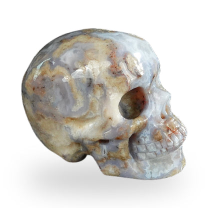 Blue Flower Agate crystal skull 2.2" SKH20BF18 photo 4