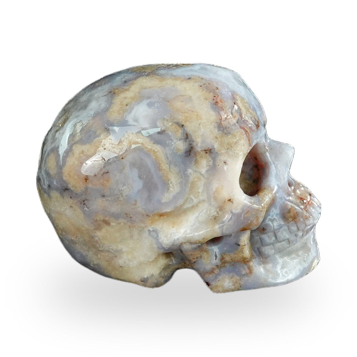Blue Flower Agate crystal skull 2.2" SKH20BF18 photo 5