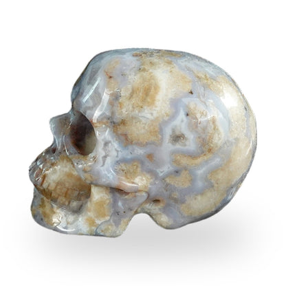 Blue Flower Agate crystal skull 2.2" SKH20BF18 photo 6