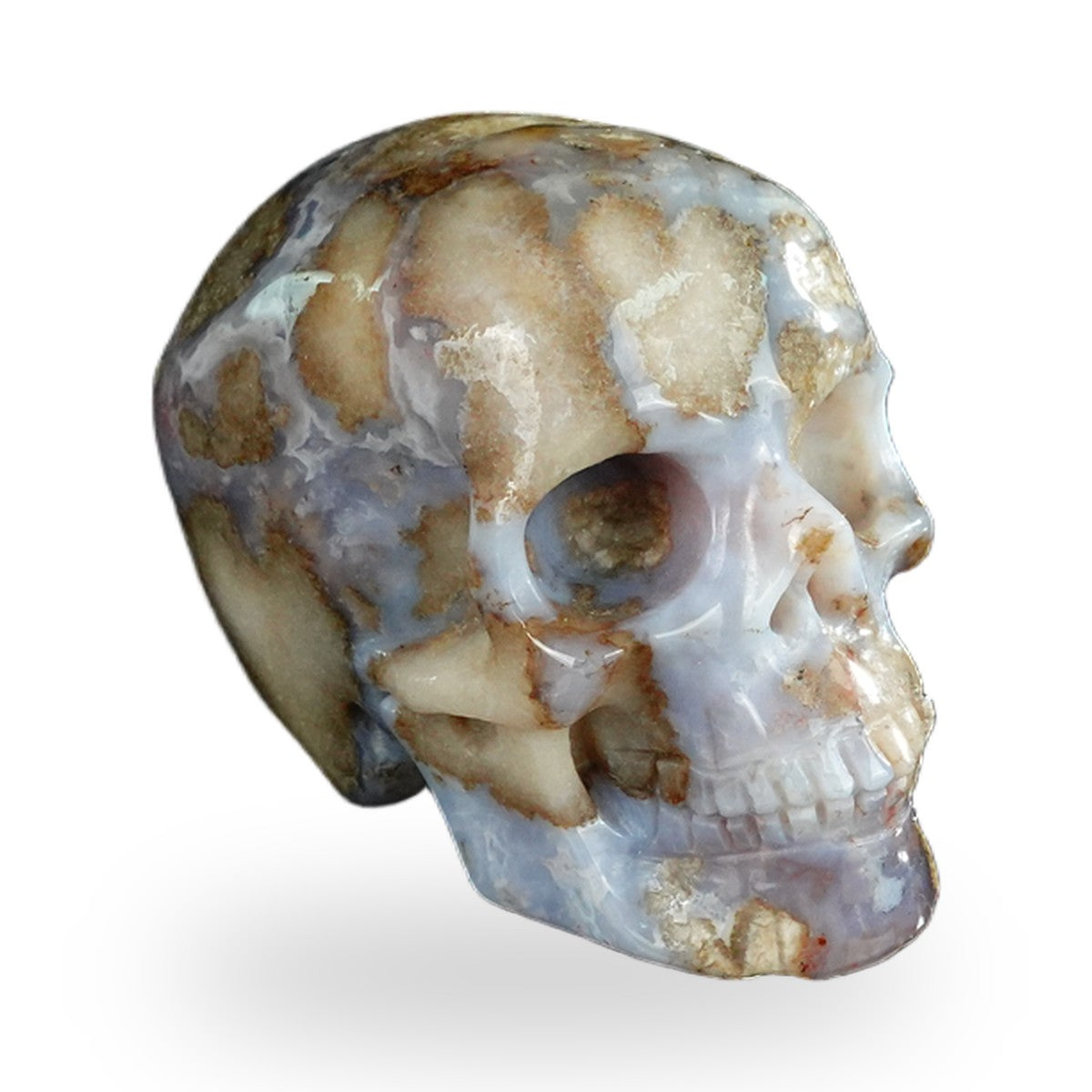 Blue Flower Agate crystal skull 2.2" SKH20BF19 photo 3