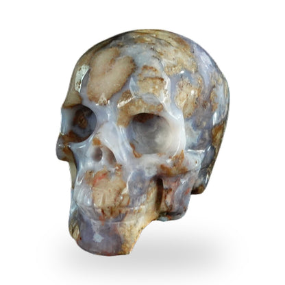 Blue Flower Agate crystal skull 2.2" SKH20BF19 photo 8