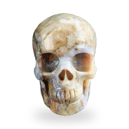 Blue Flower Agate crystal skull 3" SKH30BF01 hand carved gemstone