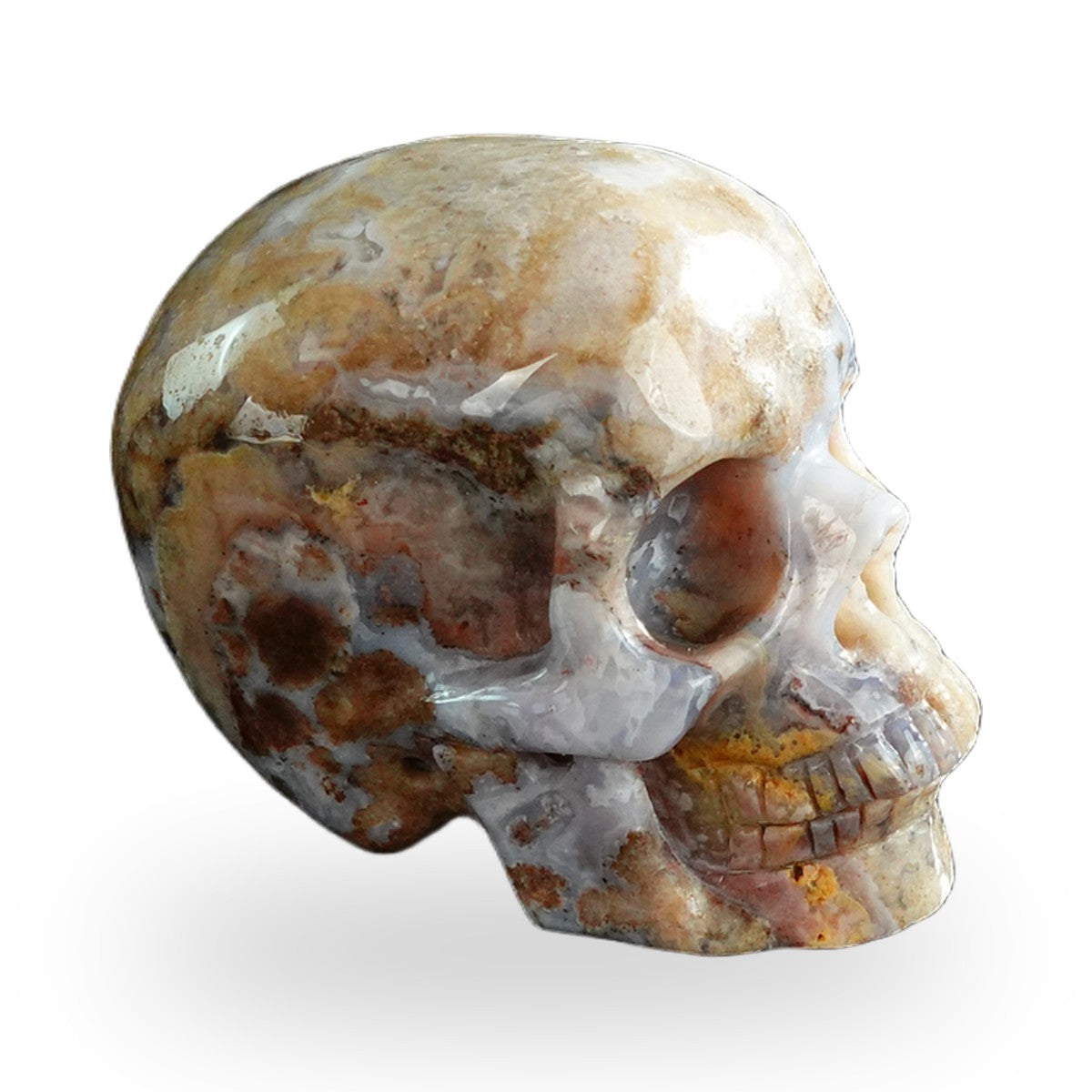 Blue Flower Agate crystal skull 3" SKH30BF01 view 5