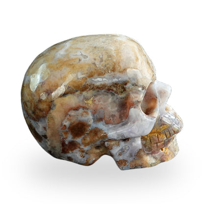 Blue Flower Agate crystal skull 3" SKH30BF01 view 6