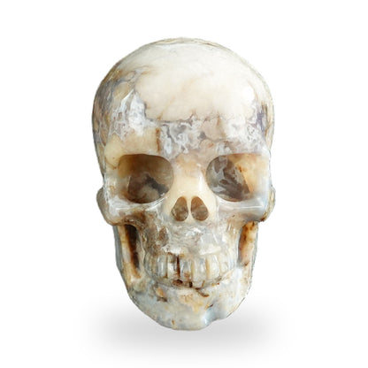 Blue Flower Agate crystal skull 3" SKH30BF03 photo 1