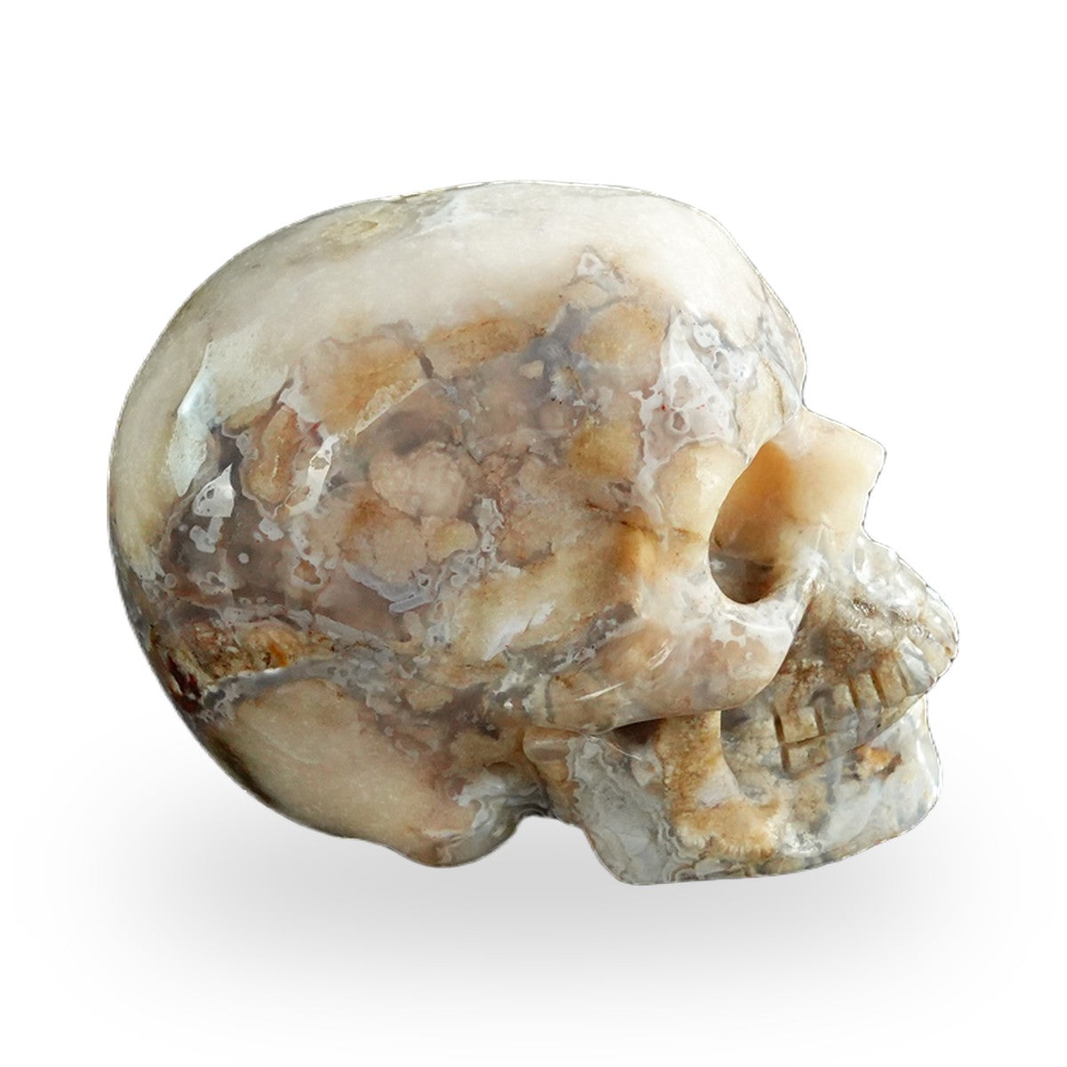 Blue Flower Agate crystal skull 3" SKH30BF03 photo 5