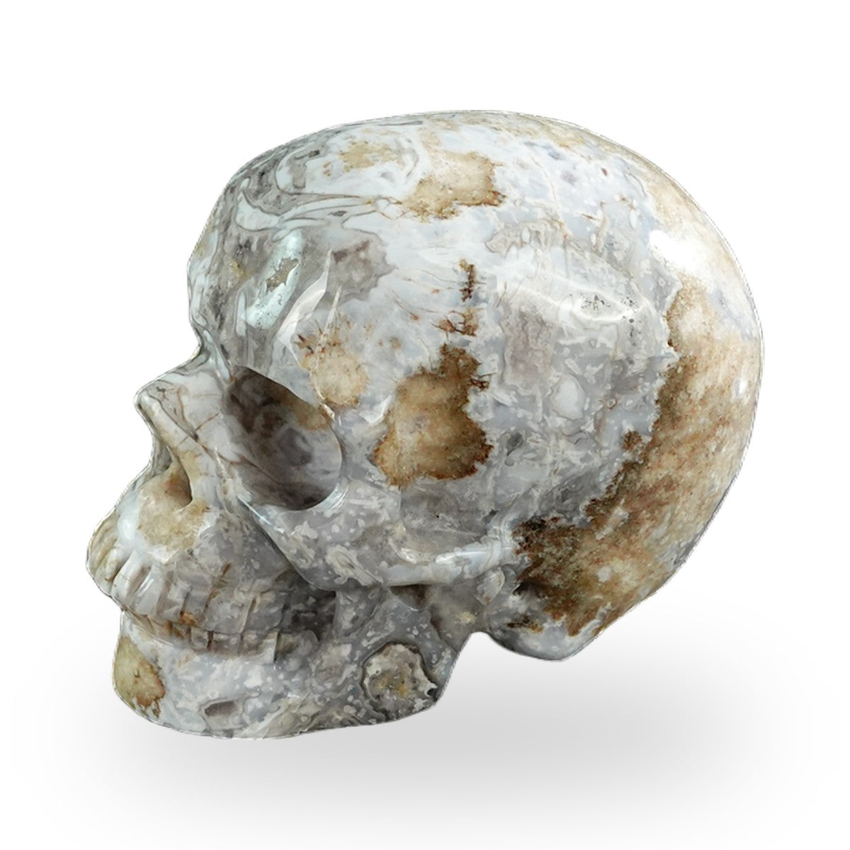 Blue Flower Agate crystal skull 3" SKH30BF05 photo 6