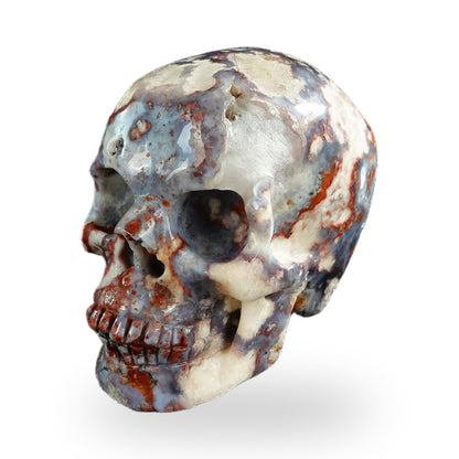 Blue Flower Agate crystal skull 3" SKH30BF07 photo 7