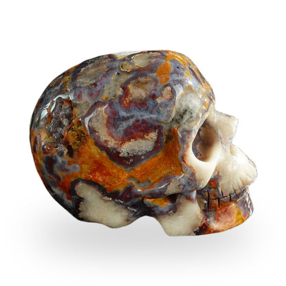Blue Flower Agate crystal skull 3" SKH30BF08 photo 5