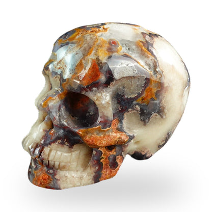 Blue Flower Agate crystal skull 3" SKH30BF08 photo 7