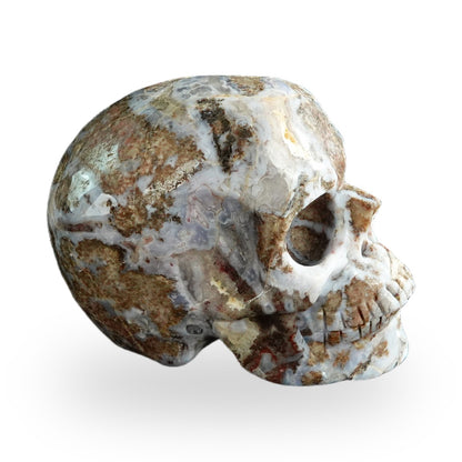 Blue Flower Agate crystal skull 3" SKH30BF09 photo 4