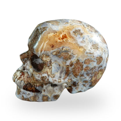 Blue Flower Agate crystal skull 3" SKH30BF09 photo 5