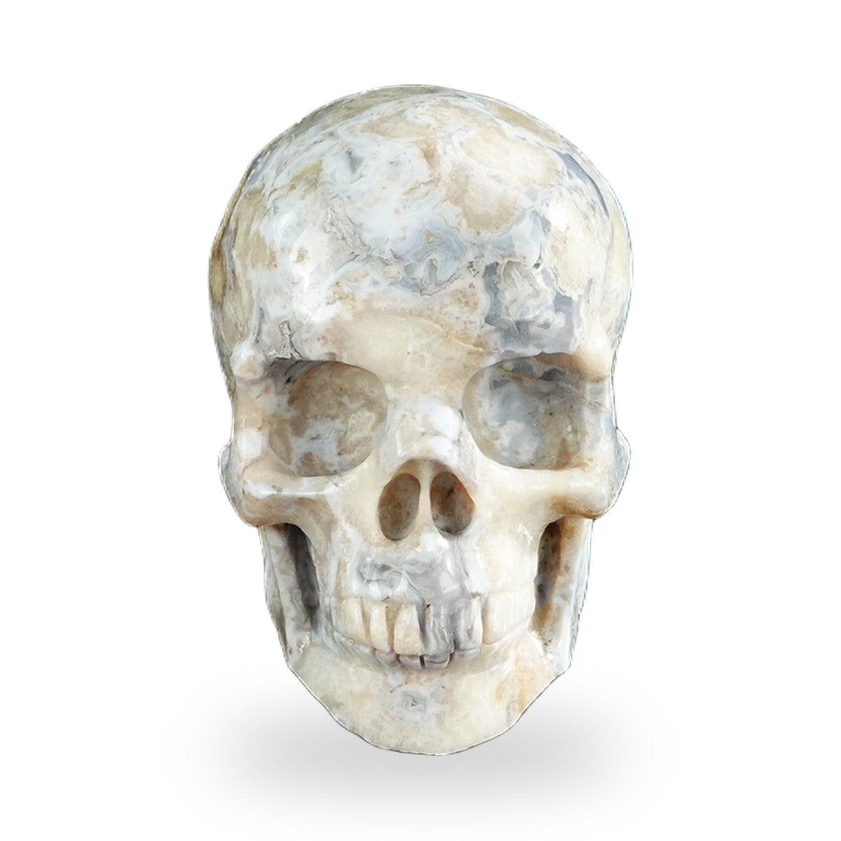 Blue Flower Agate crystal skull 3" SKH30BF10 photo 1