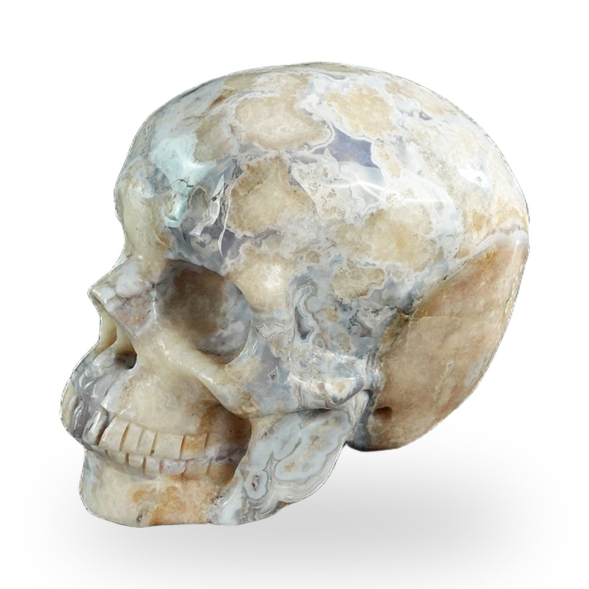 Blue Flower Agate crystal skull 3" SKH30BF10 photo 7