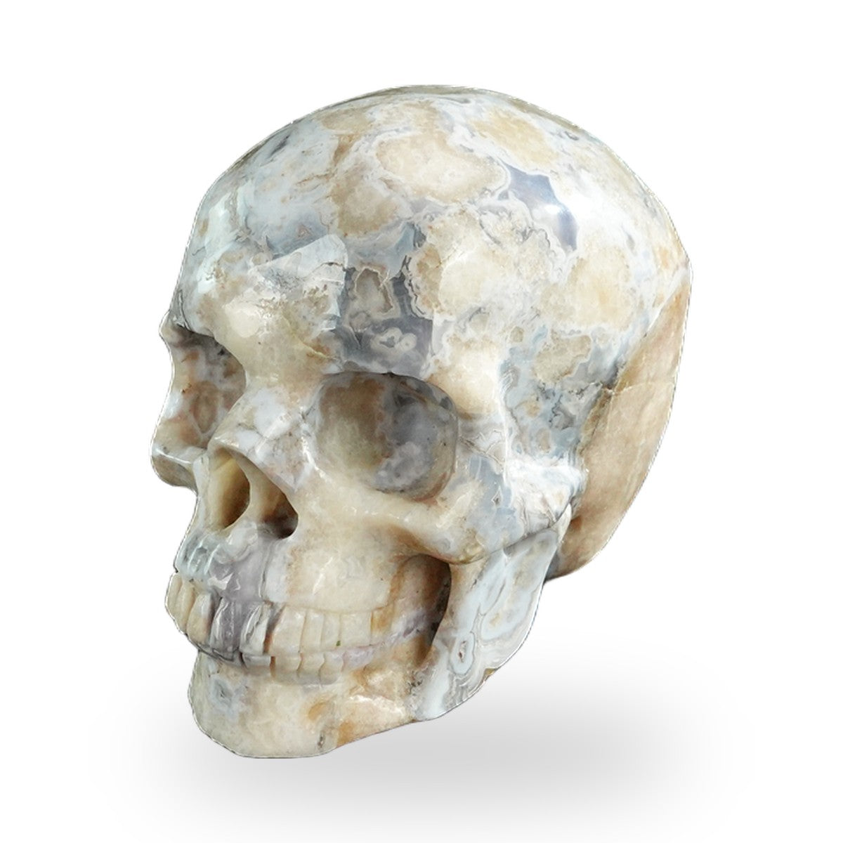 Blue Flower Agate crystal skull 3" SKH30BF10 photo 8