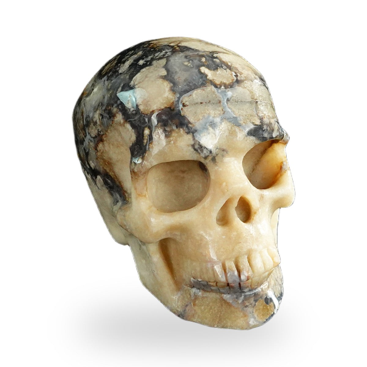 Blue Flower Agate crystal skull 3" SKH30BF11 photo 2