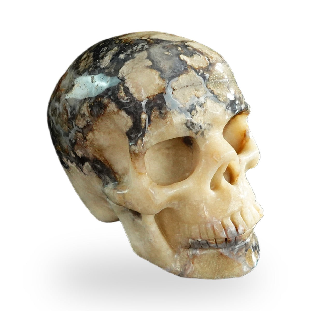 Blue Flower Agate crystal skull 3" SKH30BF11 photo 3