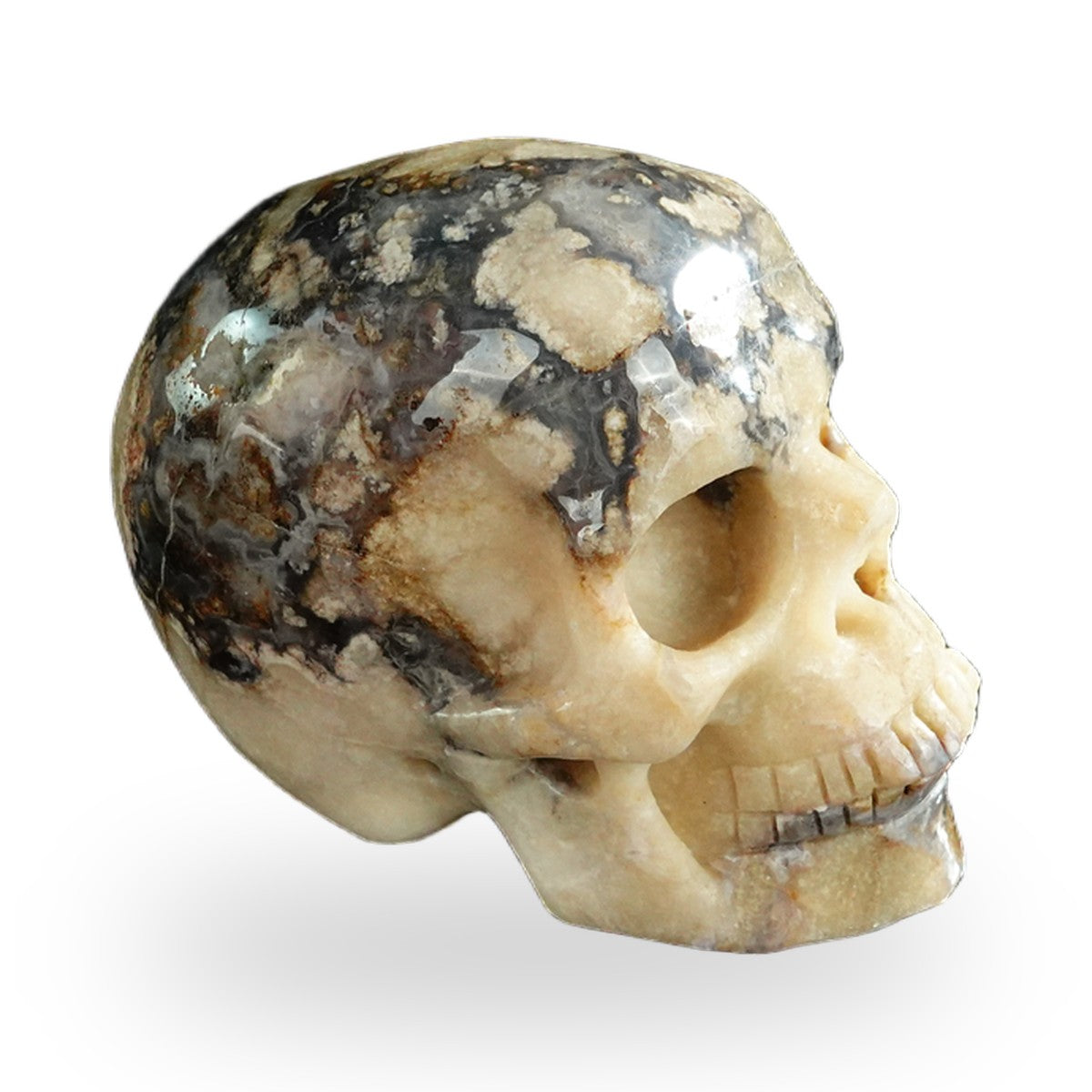 Blue Flower Agate crystal skull 3" SKH30BF11 photo 4