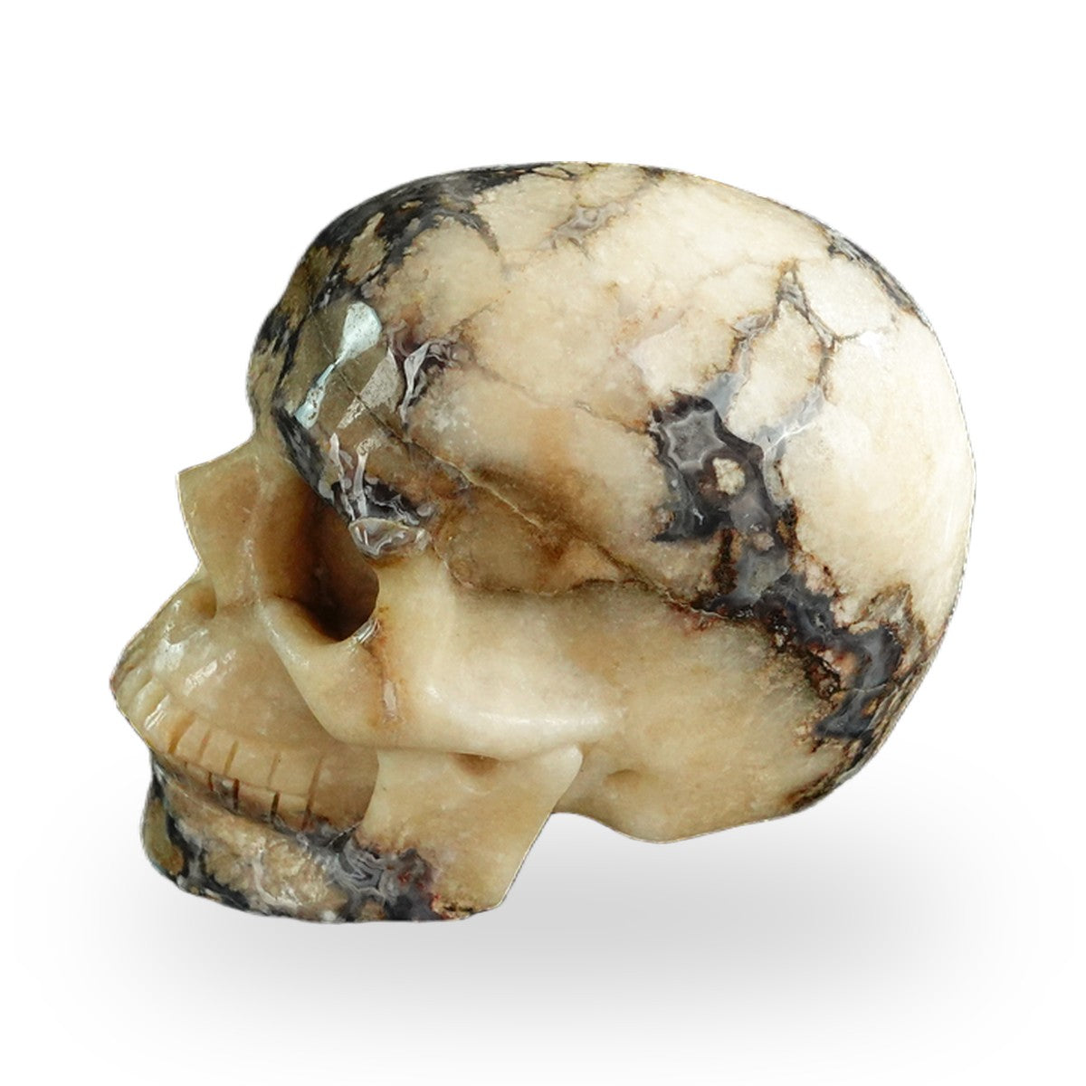 Blue Flower Agate crystal skull 3" SKH30BF11 photo 6