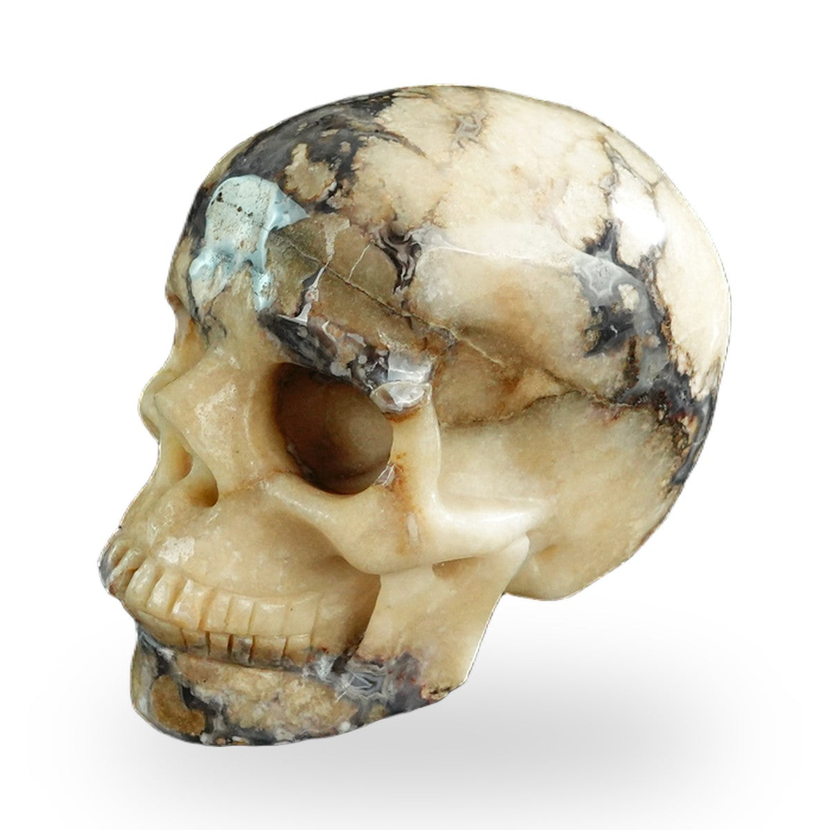 Blue Flower Agate crystal skull 3" SKH30BF11 photo 7