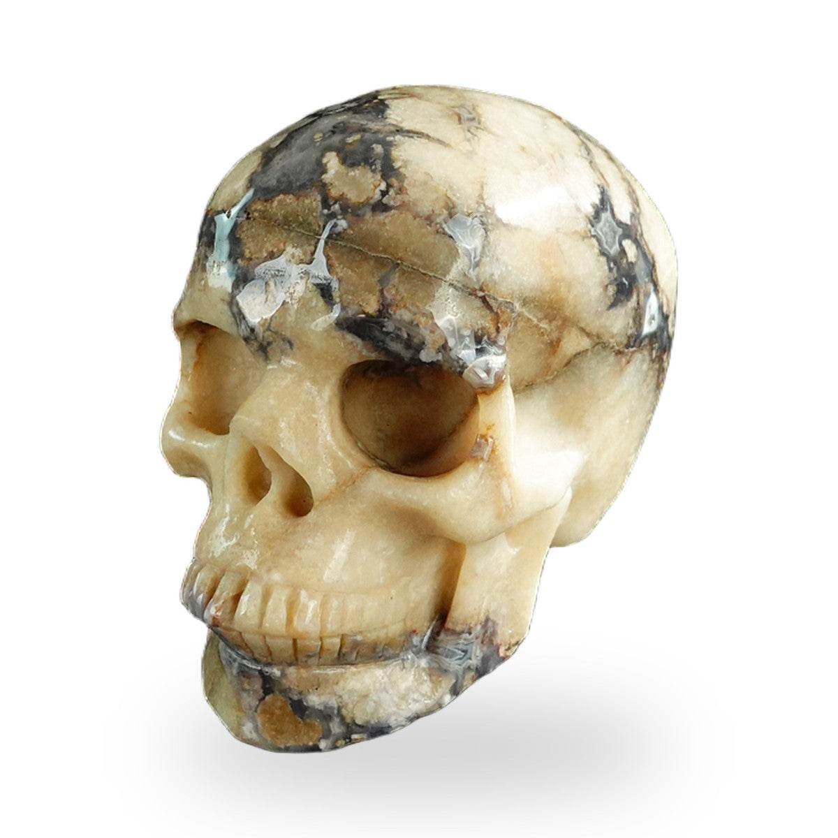 Blue Flower Agate crystal skull 3" SKH30BF11 photo 8