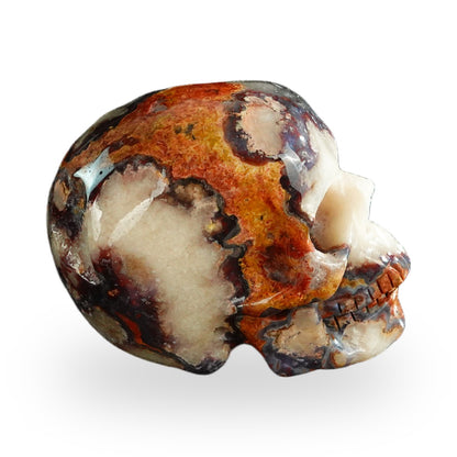 Blue Flower Agate crystal skull 3" SKH30BF12 photo 4
