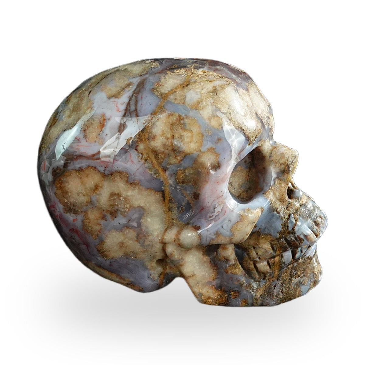 Blue Flower Agate crystal skull 3" SKH30BF14 photo 4