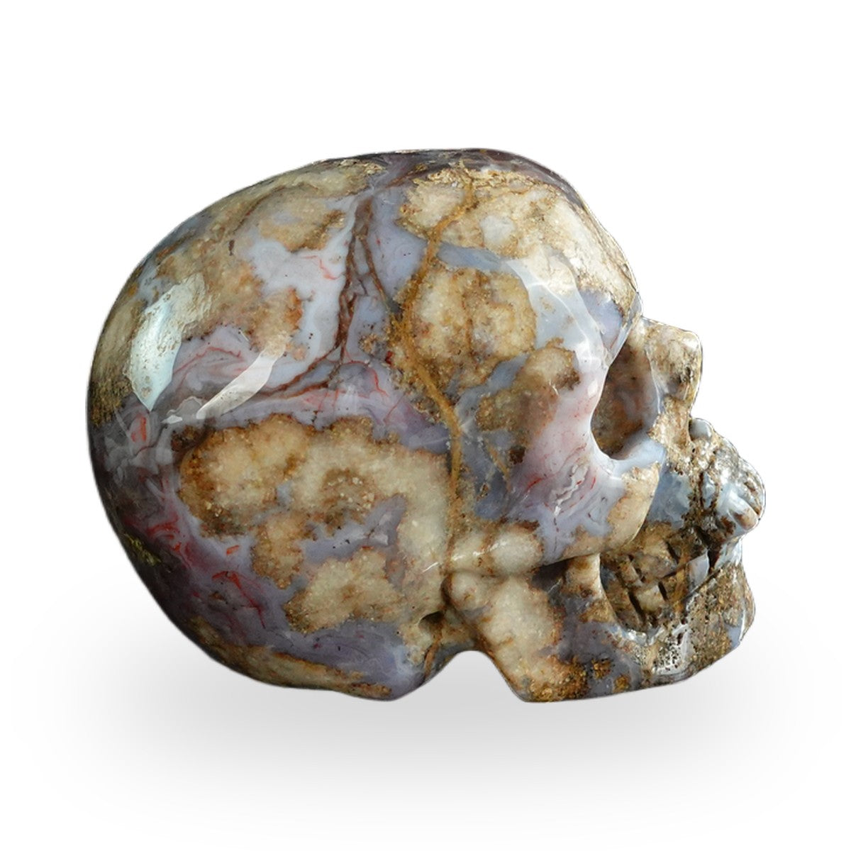 Blue Flower Agate crystal skull 3" SKH30BF14 photo 5