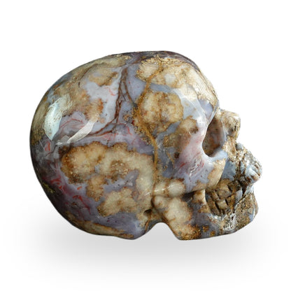 Blue Flower Agate crystal skull 3" SKH30BF14 photo 5