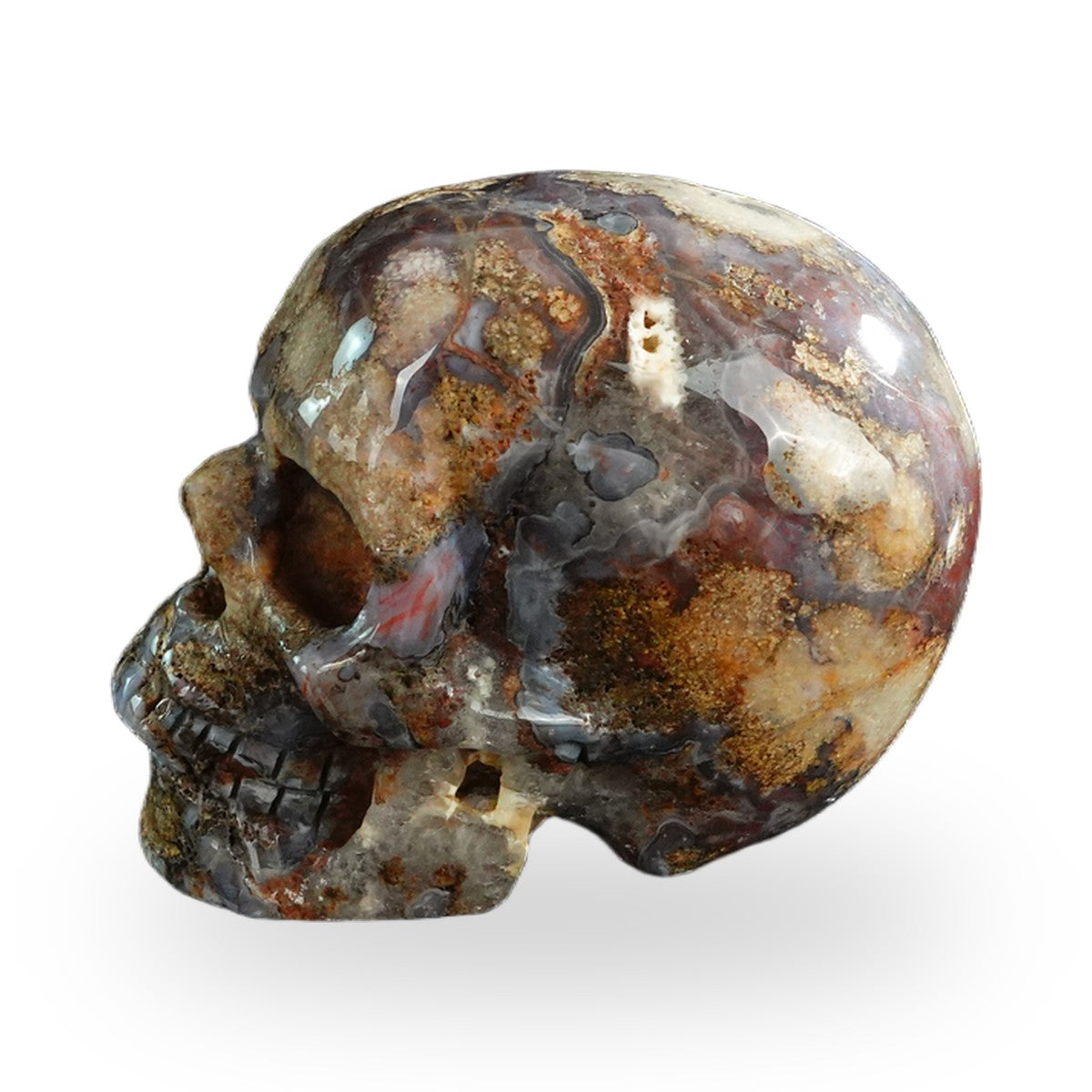 Blue Flower Agate crystal skull 3" SKH30BF14 photo 6