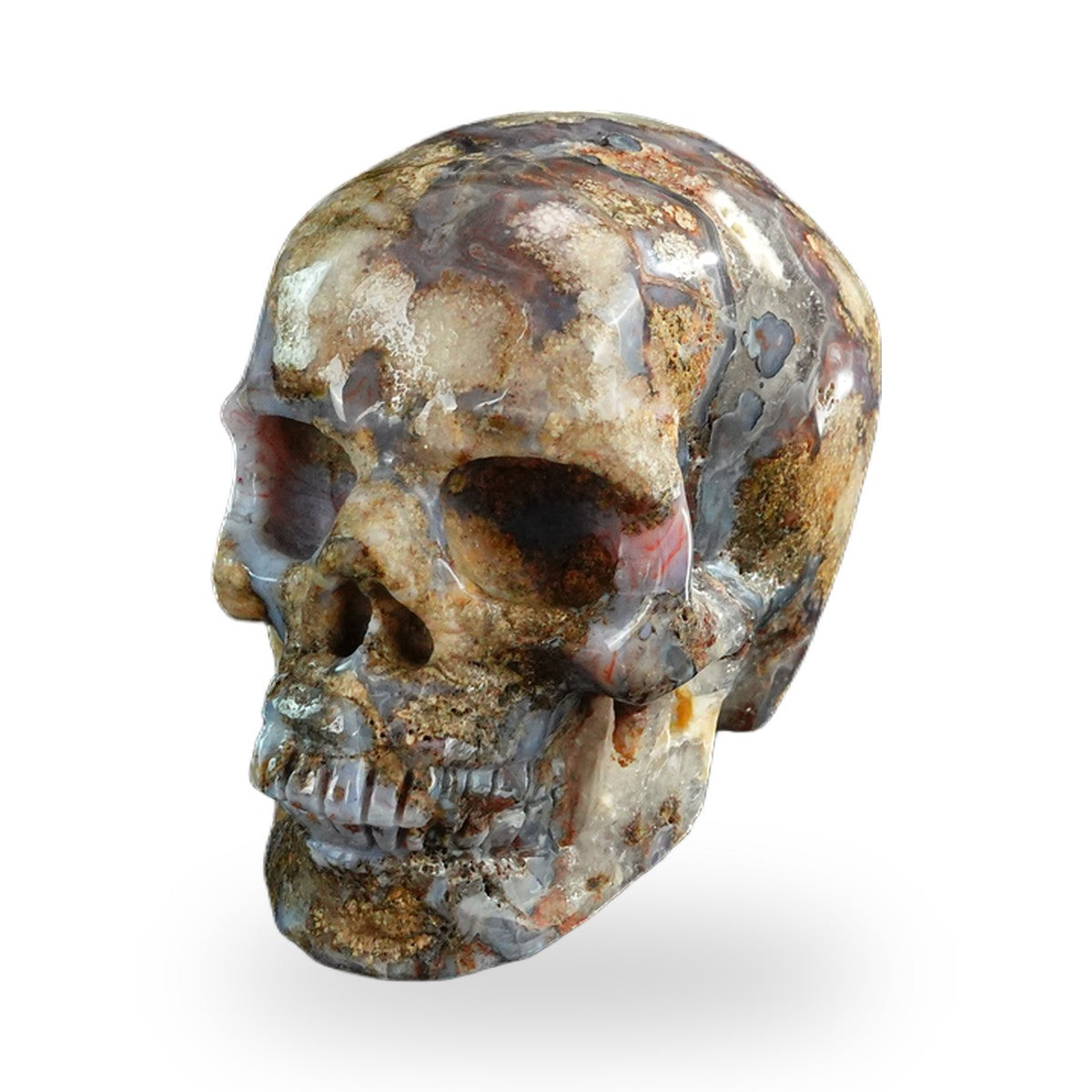 Blue Flower Agate crystal skull 3" SKH30BF14 photo 8