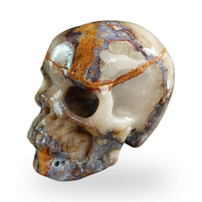 Blue Flower Agate crystal skull 3" SKH30BF15 photo 6